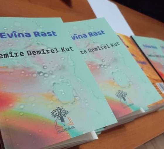 Semire Demirel Kut, Seyrê ve Elîyê Memed’in hikayesini kitaplaştırdı