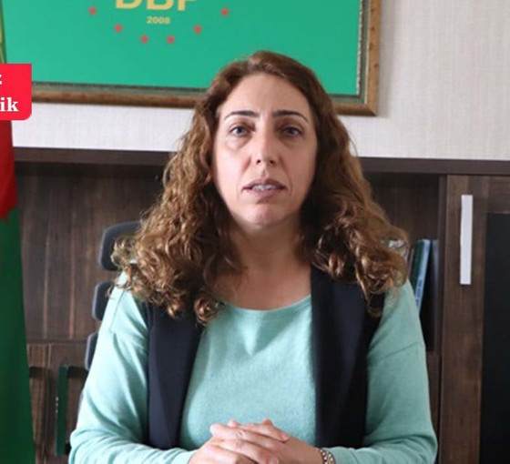 DBP Eş Genel Başkanı Aydeniz: Altılı Masa anayasası toplumsal bir sözleşme değil