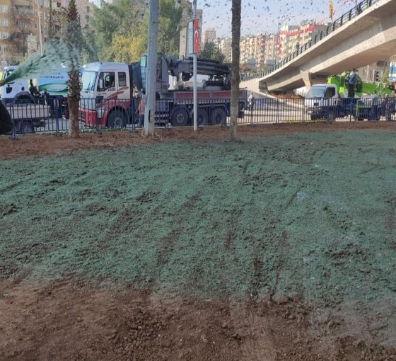 Erdoğan'ın ziyareti öncesi belediye boş toprağı yeşile boyadı