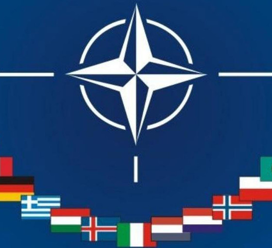 NATO: Korkak ve sinsi!