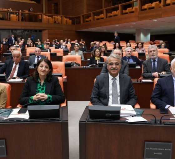 HDP'yi hedef alan Oktay'a tepki: Yeminli Kürt düşmanısınız
