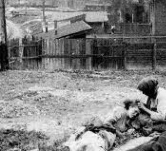Holodomor efsanesi ve Almanya’nın kararı
