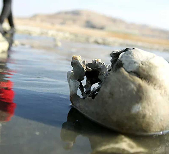 Zilan Katliamı hatırlatıldı: Van'da bulunan insan kemikleri Meclis'e taşındı