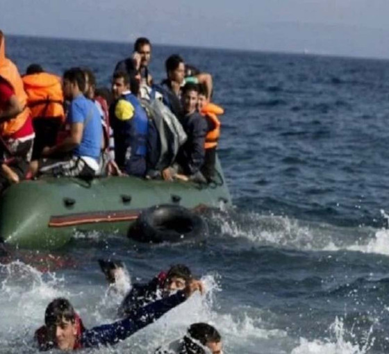 Tahta Kuruları ve Kargalar Meclisi