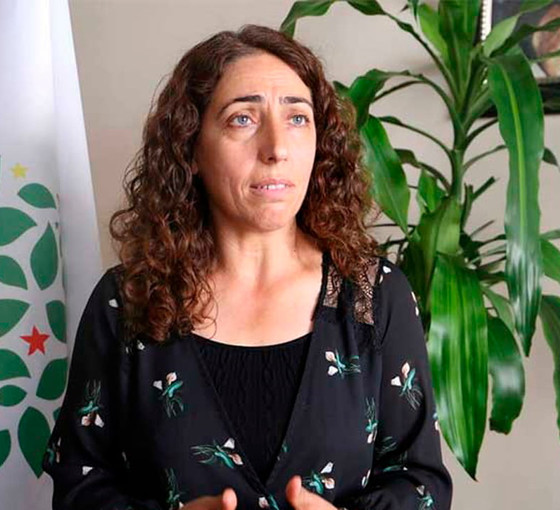 DBP Eş Genel Başkanı Aydeniz Artı Gerçek’e konuştu: Ne yaparlarsa yapsınlar iktidarın gidişi engellenemeyecek
