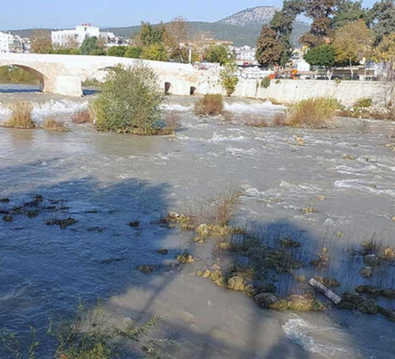 Tesisler kapatıldı, kuş cennetine dökülen Göksu Nehri eski haline döndü