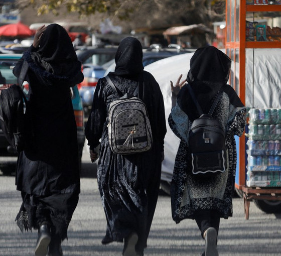 Taliban'ın kadınlara üniversite yasağını eleştiren profesör diplomasını yırttı