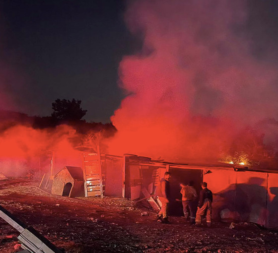 Ormanlık alanda yangın çıktı: Dört baraka kullanılamaz hale geldi