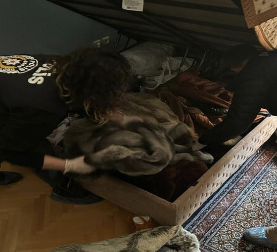 Sosyal medya fenomeni 'Gaga Bulut'a şantaj gözaltısı