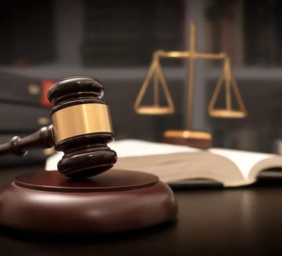 Despotizmin ceza hukukundaki araçları