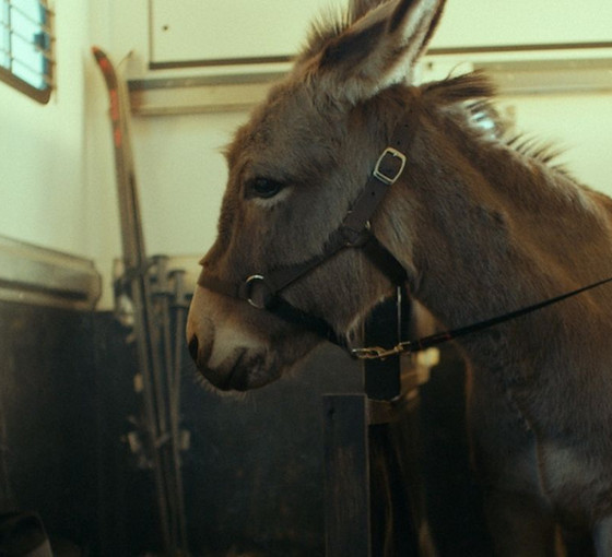 Eo’dan Balthazar’a…