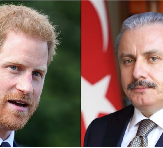 Şentop'tan Prens Harry'ye Afganistan tepkisi: Avrupalı beyaz çocuk, sen kimsin?