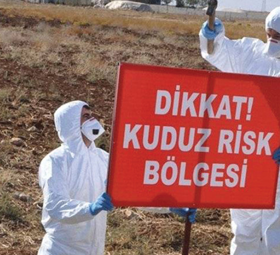 Dersim'de bir ilçe kuduz sebebiyle karantinaya alındı
