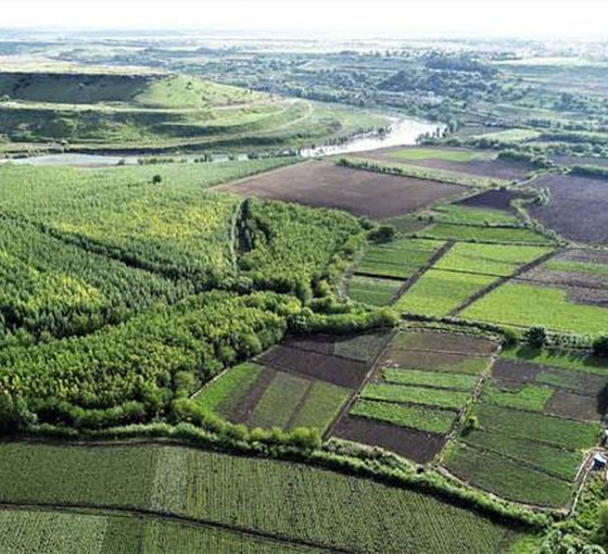 Dicle Nehri'nde üç balık türü tehlikede