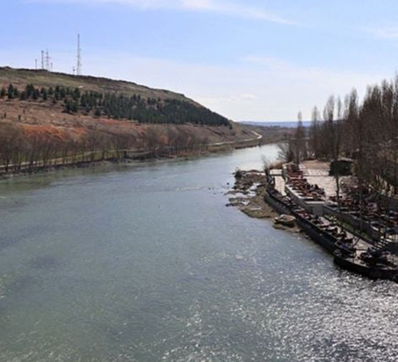 Dicle Nehri'nde alarm: Üç balık türü tehlikede