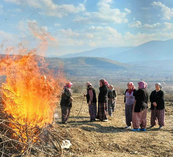 Köylülerden Vali'ye 'sökülmüş ağaç' tepkisi: 'Bu kiraz ağacının günahı sana sorulsun'