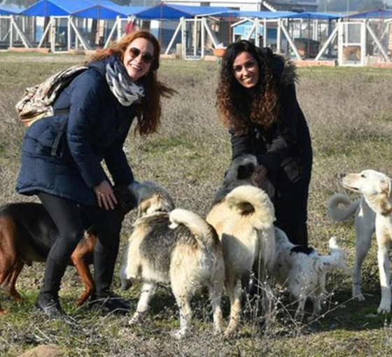 İzmir'de iki kadın sokak hayvanları için 'Merhamet Bahçesi' kurdu