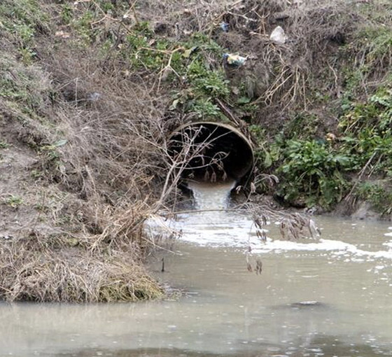 Edirne'nin kanalizasyon suları, Tunca Nehri'ne akıyor: 'Yaşamsal riskler ortaya çıkıyor’