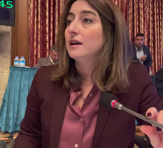CHP'li Bankoğlu: Kadınları siyasi menfaatleriniz için istismar ediyorsunuz
