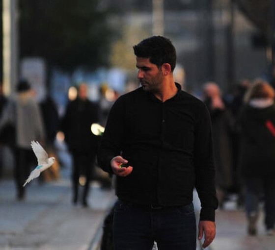 Muhabbet kuşu 'Ponçik', sahibi ile çarşı pazar geziyor