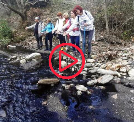 Timinciler Çayı artık siyah akıyor