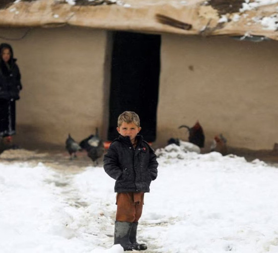 Afganistan'da dondurucu soğuk: 124 kişi ve 70 bin hayvan öldü