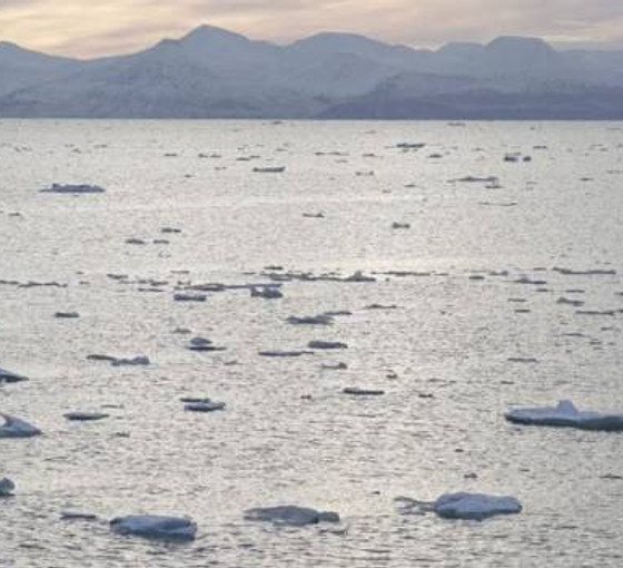 Norveç: Deniz yatağında 'büyük miktarda' mineral kaynakları bulduk