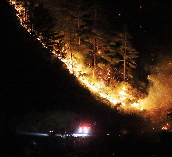 Alanya'da orman yangını