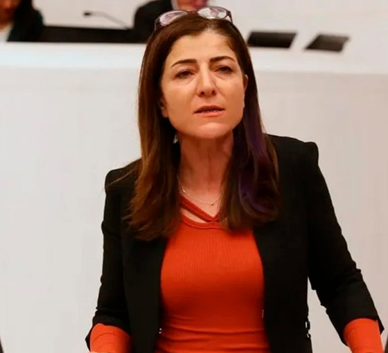 HDP'li Gülüm'den gazeteci Aygül'e yönelik soruşturmalarla ilgili önerge