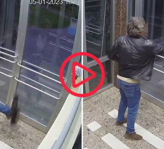 Küçükçekmece'de kediyi tekmeleyen kişi gözaltına alındı