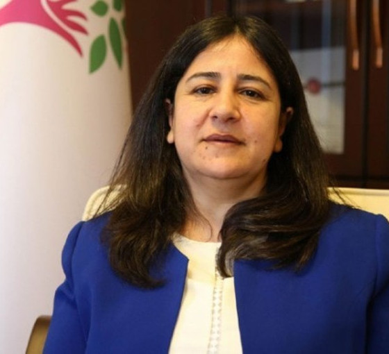 HDP'li Çağlar Demirel'in 'hakaret' duruşmasında Meclis tutanakları istendi