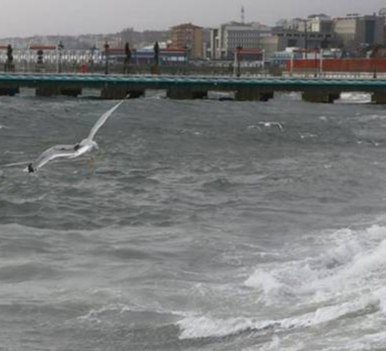 Deprem sonrasında İskenderun'da deniz seviyesi yükseldi, bazı caddeler su altında kaldı