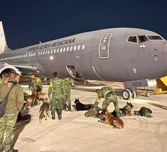 Meksika'nın meşhur arama kurtarma köpekleri Türkiye'ye geliyor