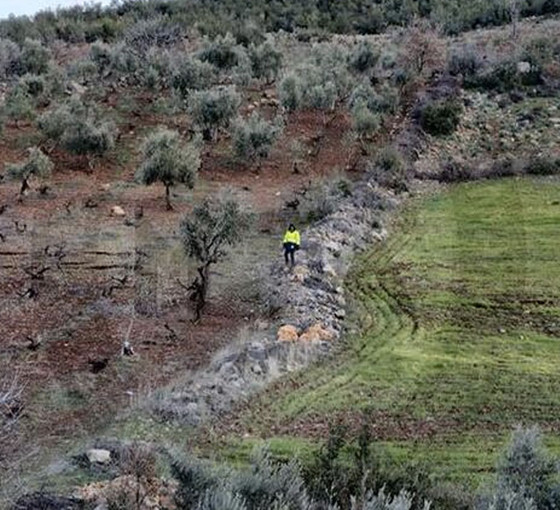 MTA raporu: Yollar, raylar, duvarlar, tarlalar yer değiştirmiş
