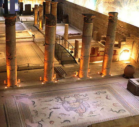 Depremde Zeugma Mozaik Müzesi hasar görmedi