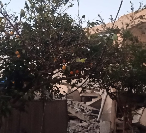 Ölüm ve portakal kokusunun karıştığı Antakya: 'Toprağımızı terk etmeyeceğiz'