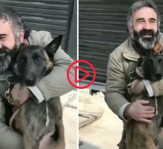 Kendisini enkazdan kurtaran köpekle buluştu: Sen var ya...