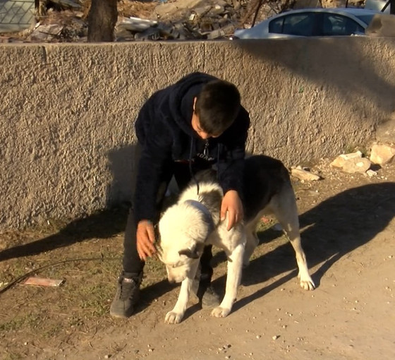 12 yaşındaki Çınar köpeği Alex'in yardımıyla enkazdan kurtuldu