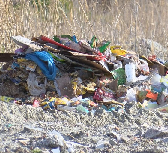 Hatay'da enkaz molozu dökülen Milleyha Kuş Cenneti koruma altına alındı
