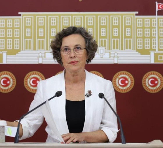 HDP'den deprem bölgesindeki çocuklara dair soru önergesi