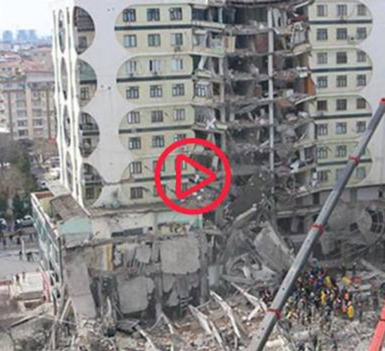 Galeria'da mahsur kalan hayvanları kurtarma çalışmaları başladı