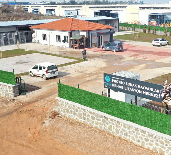 Proteo'nun ismi sokak hayvanları için yaptırılan rehabilitasyon merkezine verildi