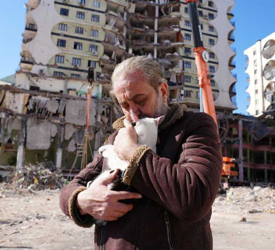 Galeria Sitesi'nin enkazından 13 kedi kurtarıldı
