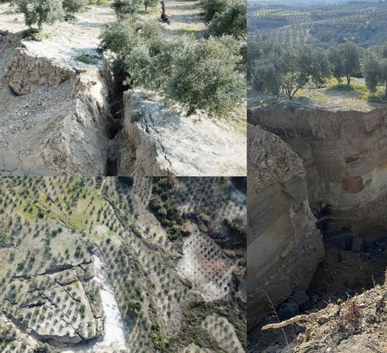 Hatay'da zeytin bahçesinde deprem sonrası dev yarıklar oluştu