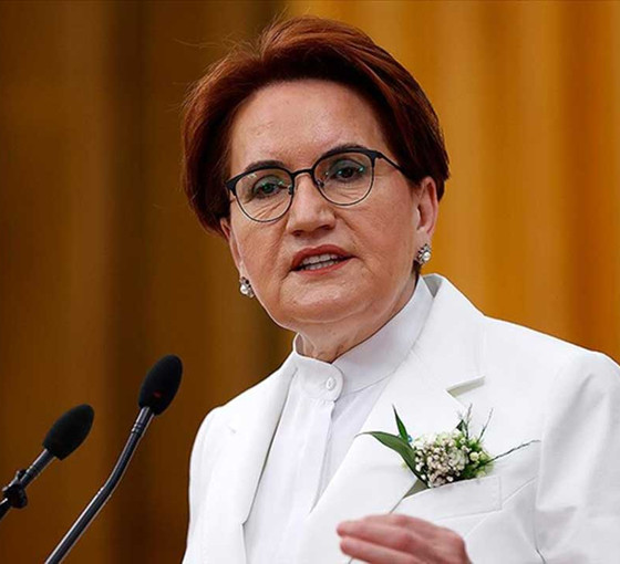 Akşener'den Erdoğan'a 'Akşamları papatya çayı iç, iyi gelir' yanıtı