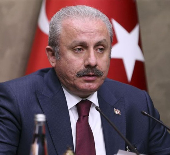 Şentop'tan Kılıçdaroğlu'na 'Kürtçe' yanıtı: 'Bilinmeyen dil' ifadesi kullanılmıyor