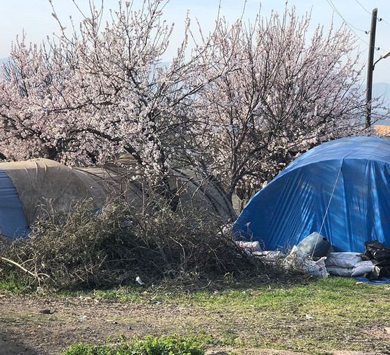 Suriyeli depremzedeler ayrımcılıkla da mücadele ediyor