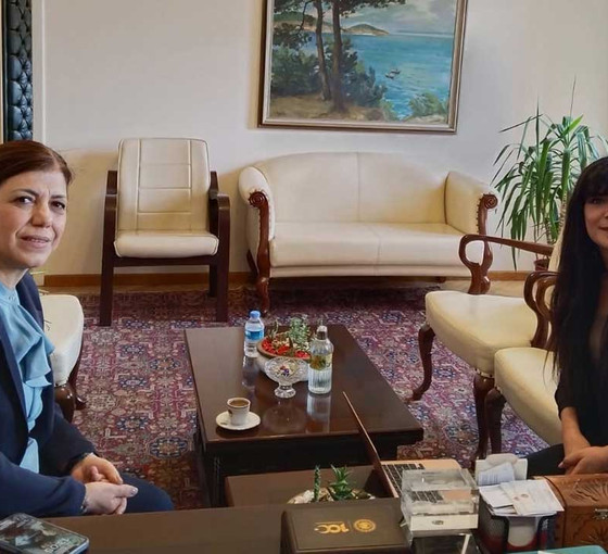 Meral Danış Beştaş: Seçim güvenliği ile ilgili işbirliğini her kesimle yürüteceğiz