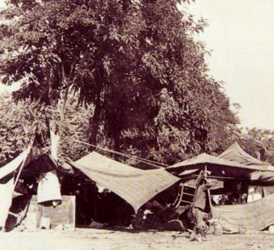 1894 Depremi -3-