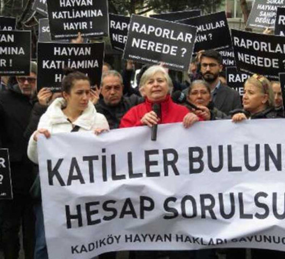 Kadıköy'de hayvan hakları savunucularından eylem: Kediler neden öldürüldü?
